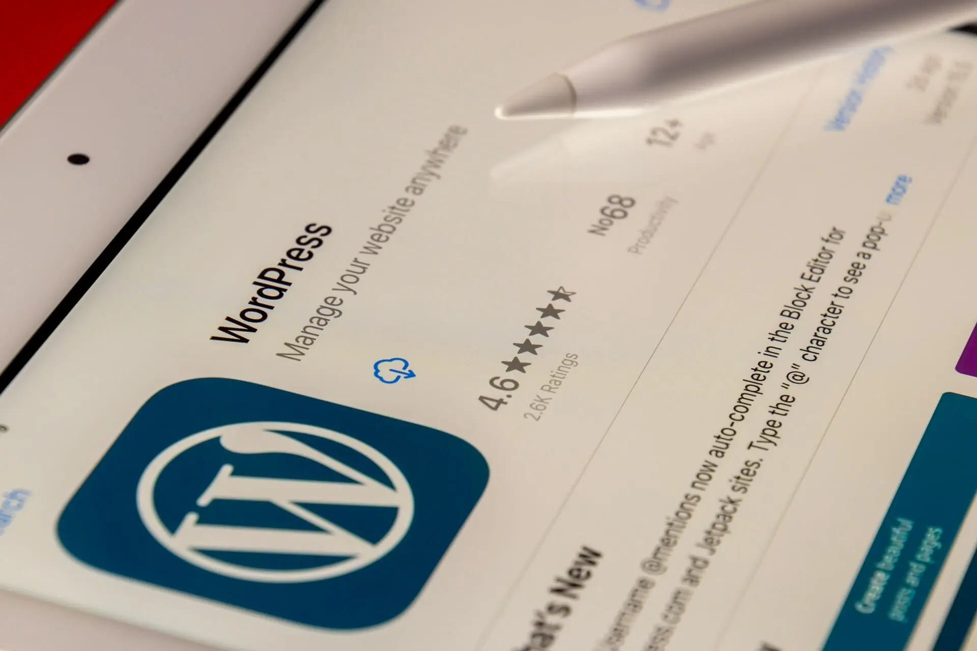 WordPress Maintenance Agency vs. DIY: What It Actually Costs in 2026